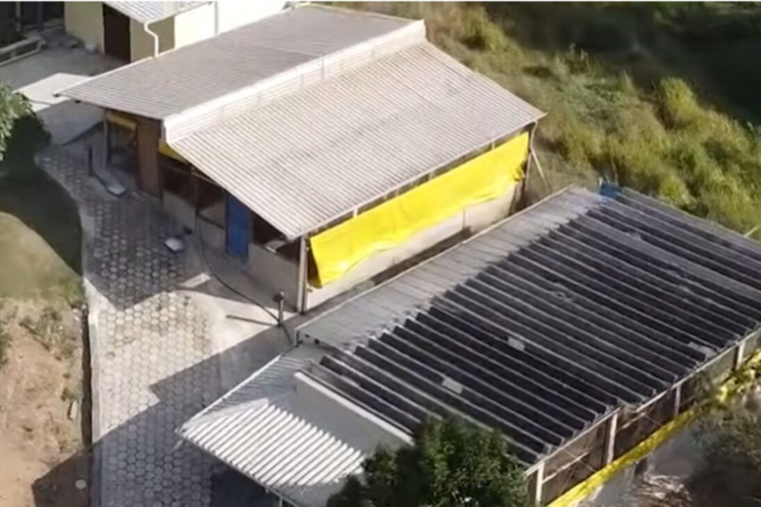 Veja como pequeno produtor de ovo caipira monta produção de ovo caipira, faz venda de ovo caipira, cria renda com ovo caipira e cresce com ovo caipira.