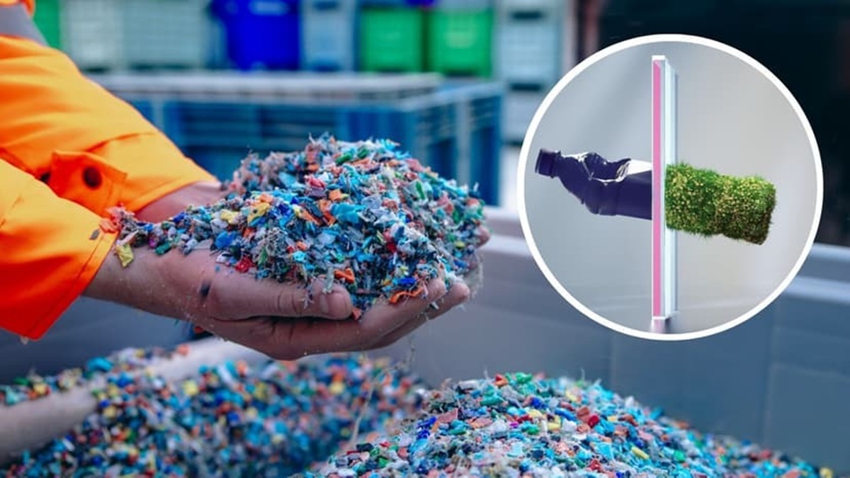 Pesquisadores alemães criam plástico biodegradável de feno e algas para uso médico e automotivo, visando economia sustentável.