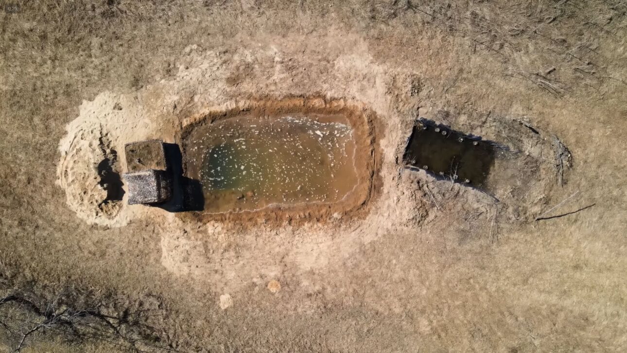 Lagos de quintal substituem gramados, atraem biodiversidade e controlam mosquitos com profundidade planejada, lona técnica e plantas nativas.