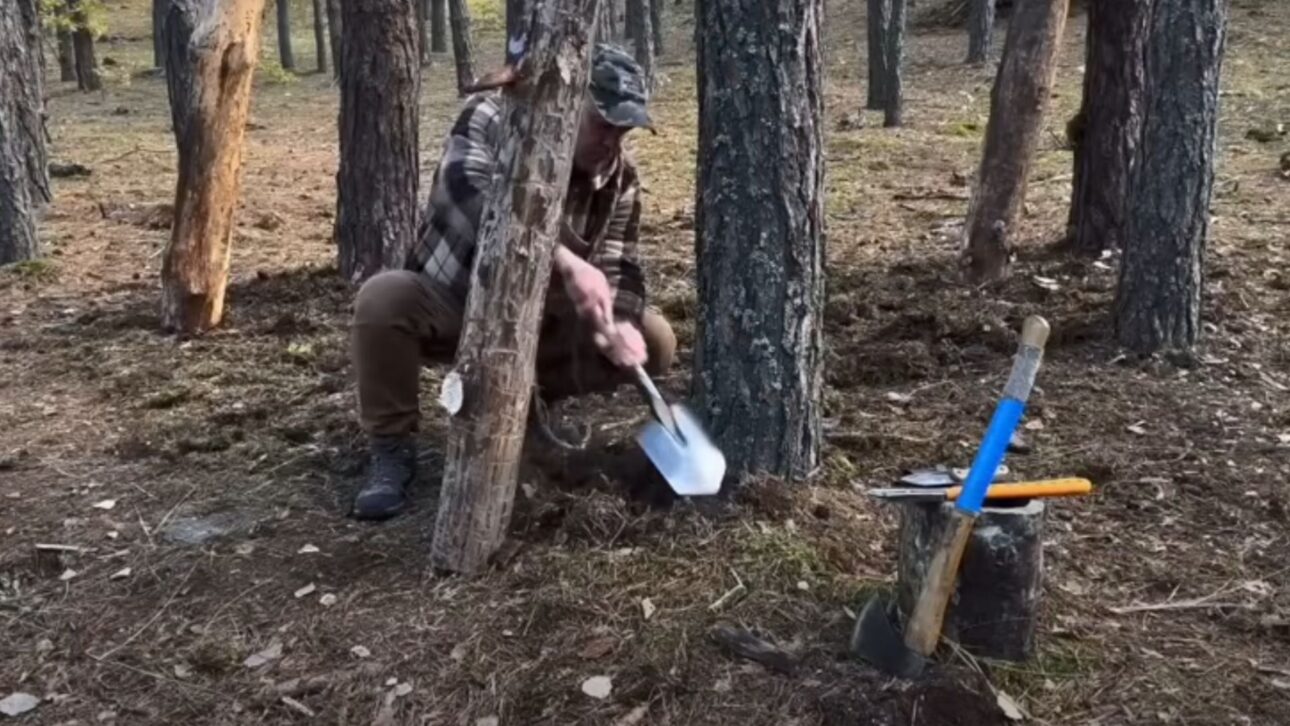 Abrigo elevado a 2 metros do solo usa troncos e madeira leve, sem parafusos, fixado em árvores, com conforto térmico e baixo impacto ambiental.