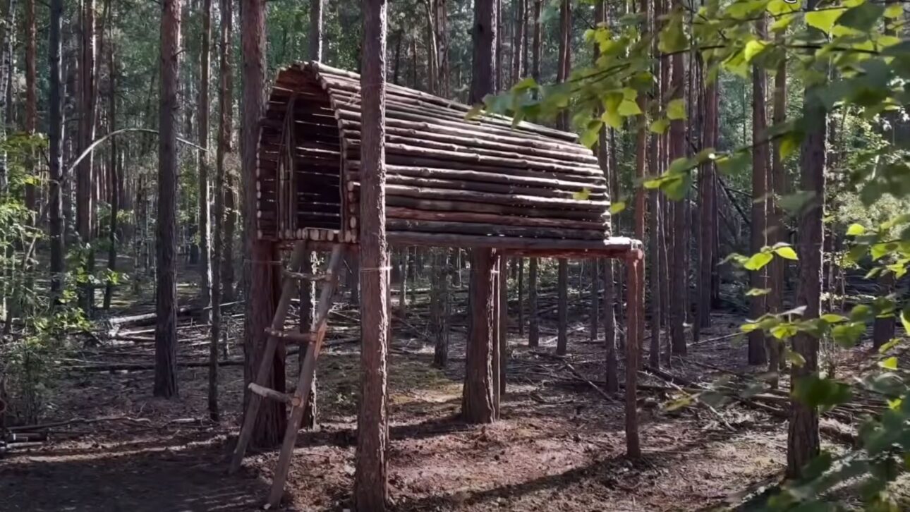 Abrigo elevado a 2 metros do solo usa troncos e madeira leve, sem parafusos, fixado em árvores, com conforto térmico e baixo impacto ambiental.