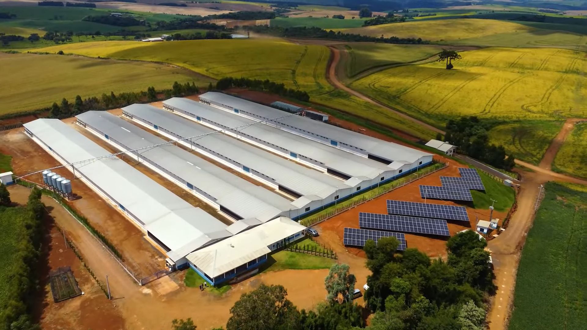 Granja integrada da Seara com galpões de produção e sistema de energia solar fotovoltaica instalado, reforçando o uso de fontes renováveis no agronegócio brasileiro.