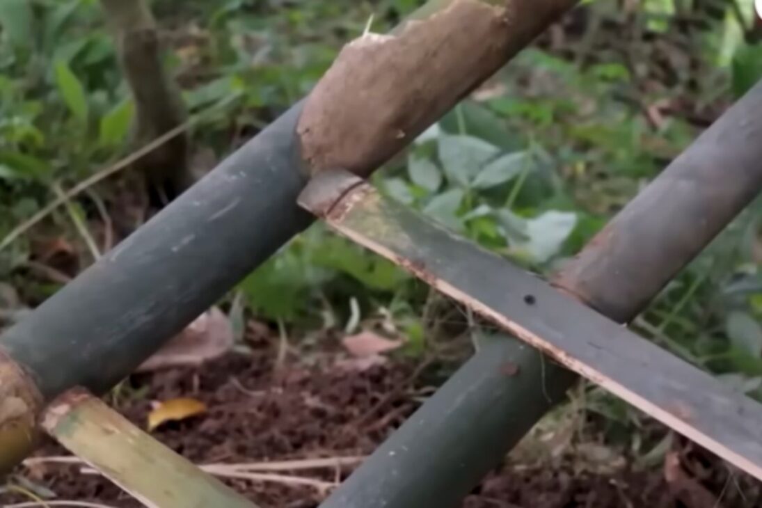 Pai e filho constroem abrigo off-grid só com bambu, folhas e argila, levantam cabanas elevadas e até sobre o rio, usam amarrações sem pregos e telhado que drena