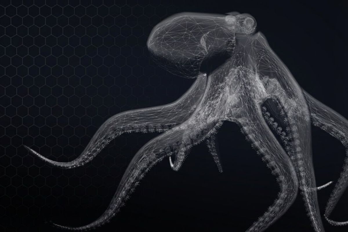 Polvos revelam inteligência extrema: camuflagem rápida, neurônios espalhados nos braços e pele que sente luz explicam por que parecem alienígenas reais.