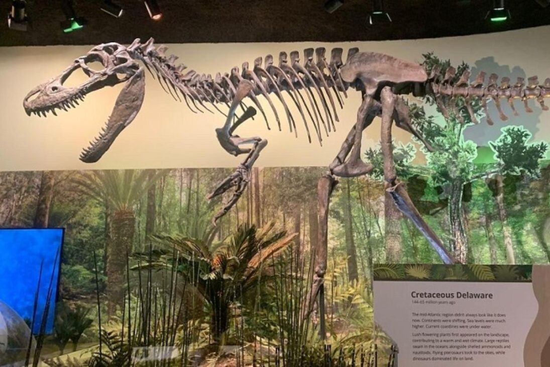 Além do T. Rex, o Dryptosaurus dominou os Apalaches, separado de Laramidia, como membro dos tyrannosauroidia no fim do Cretáceo.