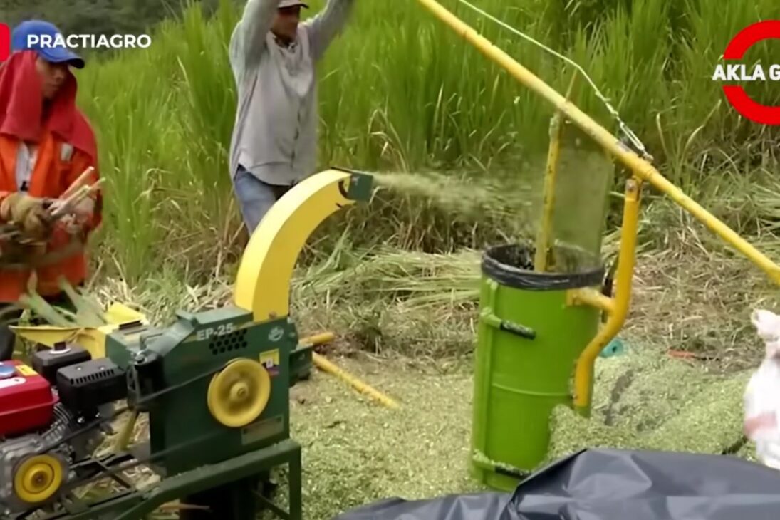 Técnica agrícola reúne invenções: máquina, triturador e plantio para triturar ração, cavar valas, transplantar mudas e colher com eficiência na pequena escala.

