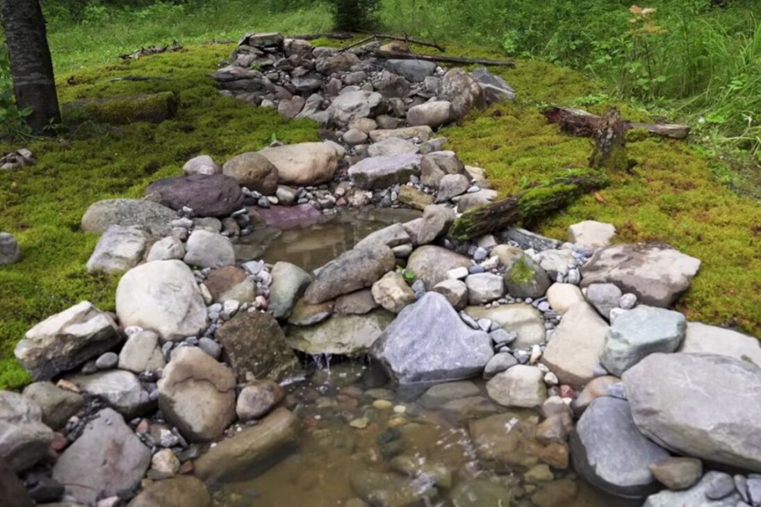 lago de banho de pássaros com cascata e bomba sofre com tempestades e apagões, esvazia piscinas no poço e pode transbordar ao valo; raposas, guaxinins, mofetas e perus usam a água e remexem musgo sob câmeras.
