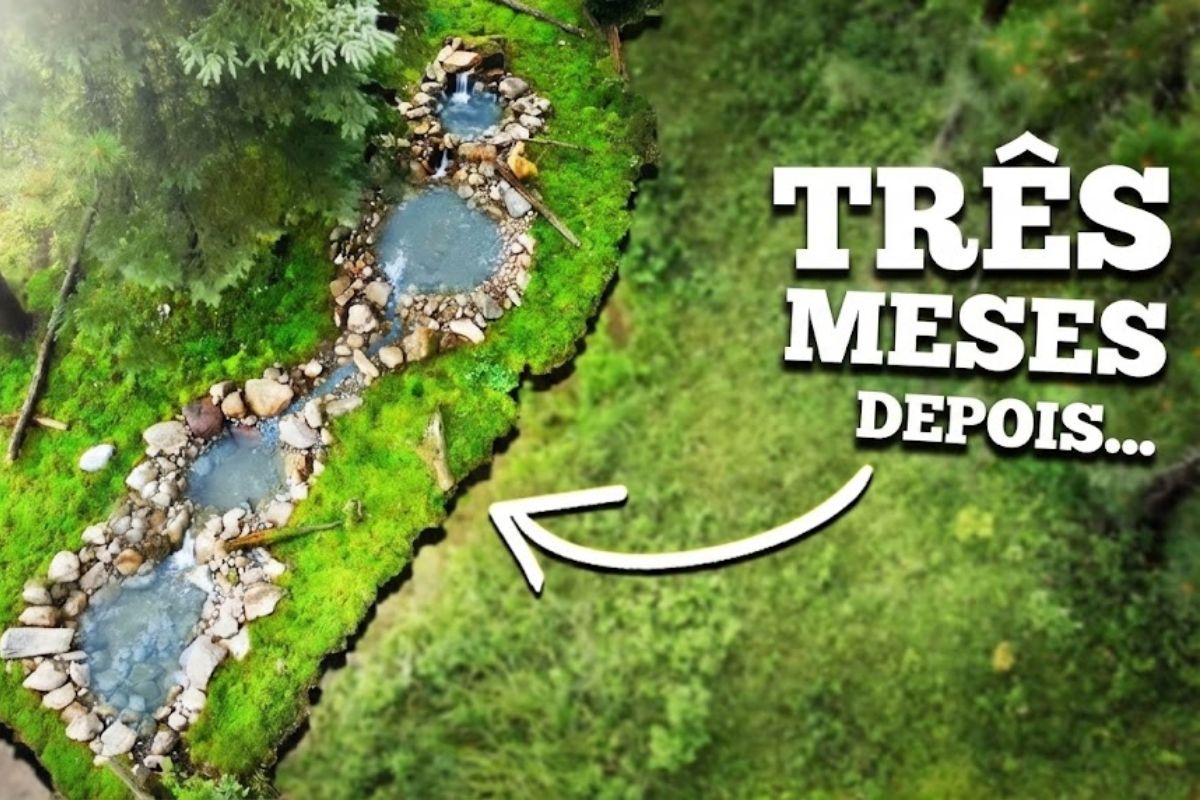 lago de banho de pássaros com cascata e bomba sofre com tempestades e apagões, esvazia piscinas no poço e pode transbordar ao valo; raposas, guaxinins, mofetas e perus usam a água e remexem musgo sob câmeras.