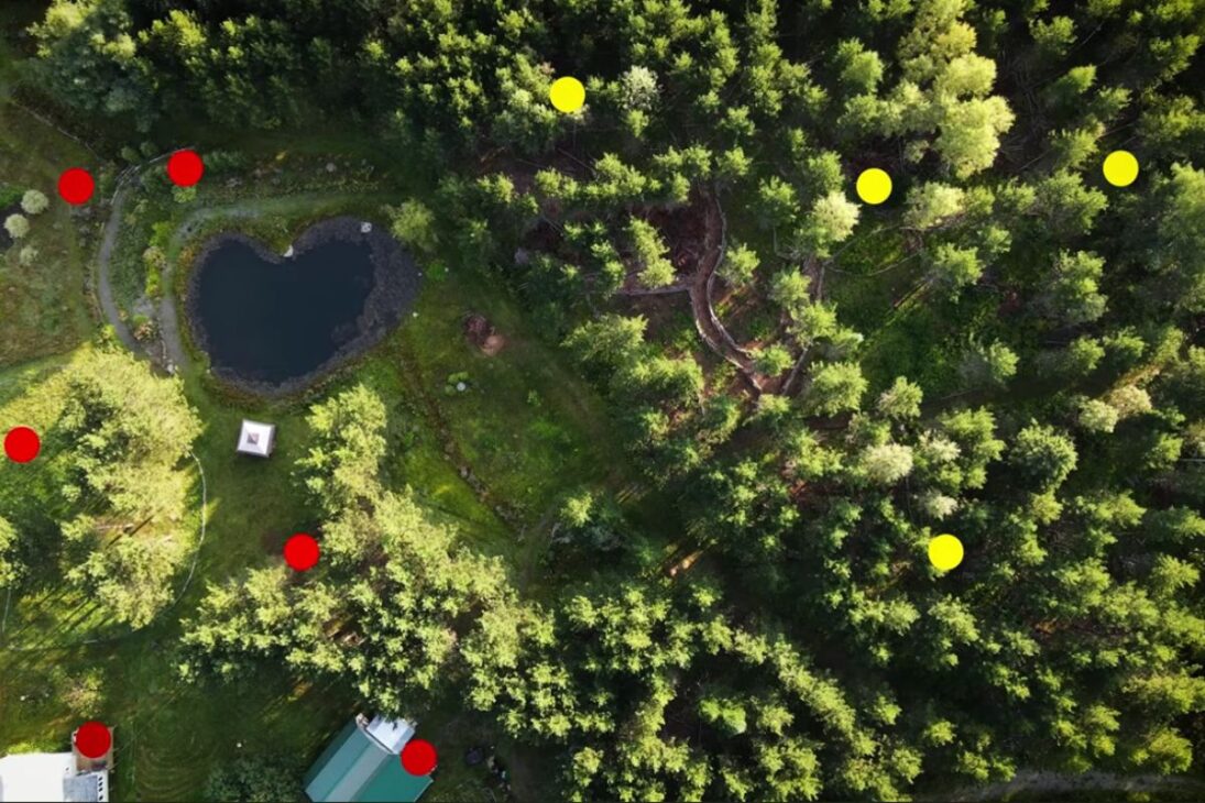 Lagoa temporária transforma reserva de vida selvagem ao concentrar plantas nativas e aves nidificantes, redefinindo caça, ninhos e equilíbrio ecológico local.