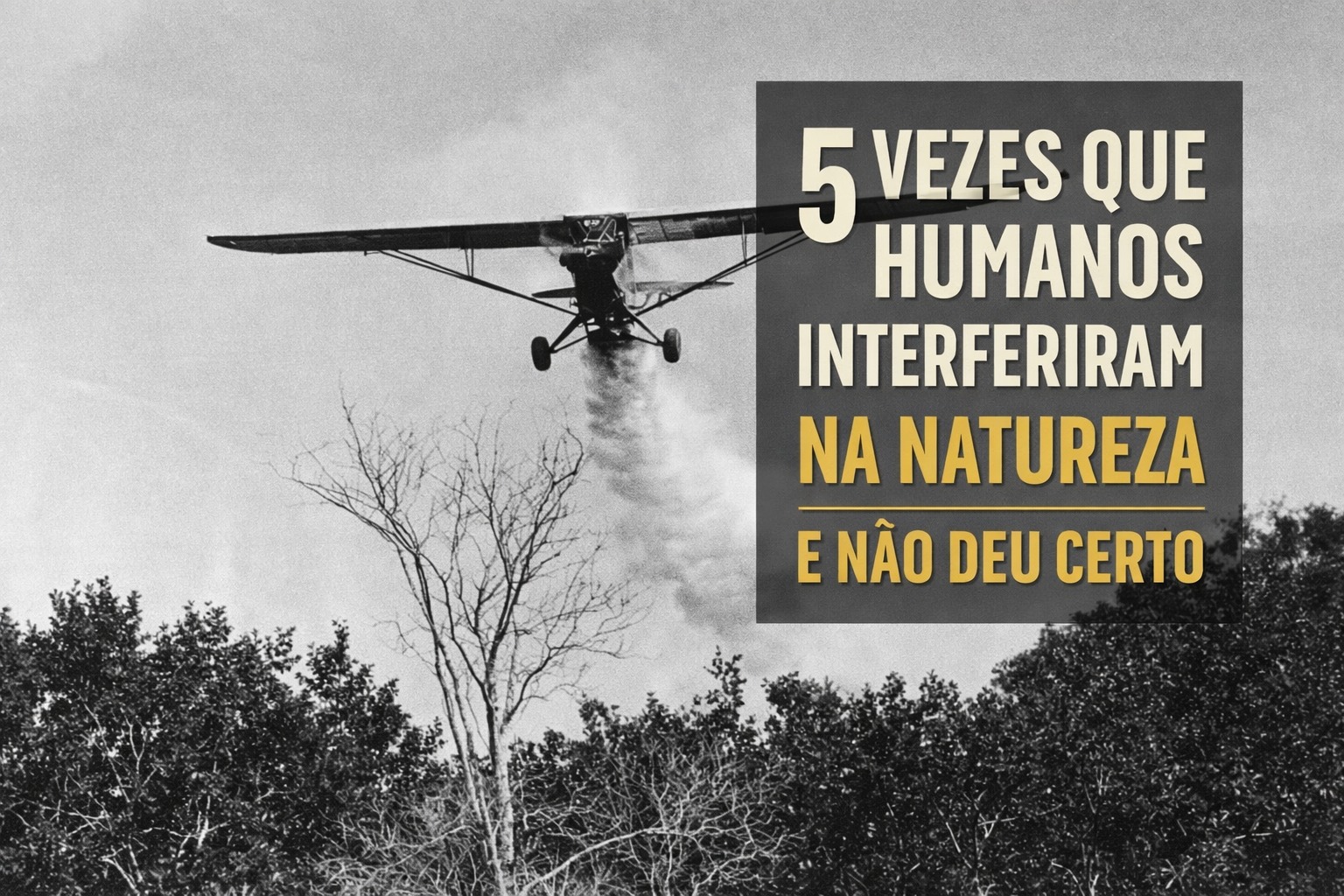 Humanos, Animais, Natureza