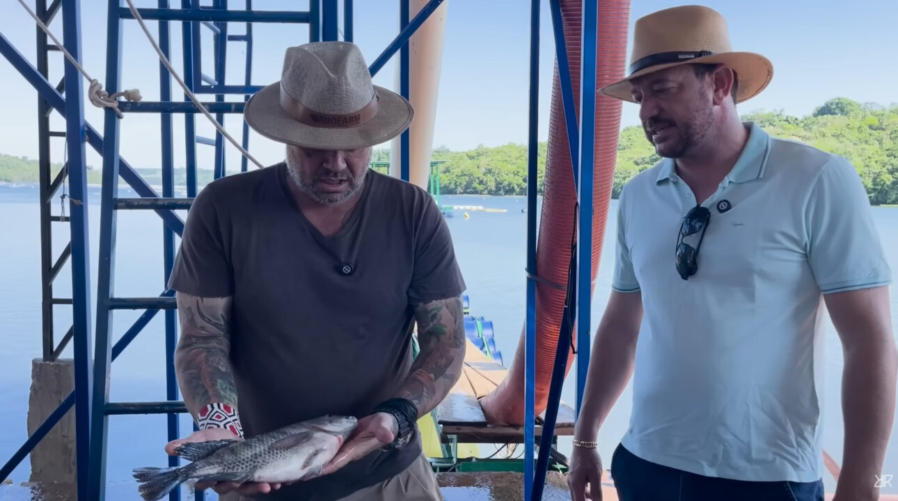 Megaoperação de tilápia no Paraná processa 14,5 toneladas por dia, usa 20 mil kg de ração e exporta filé fresco aos EUA em 48 horas.