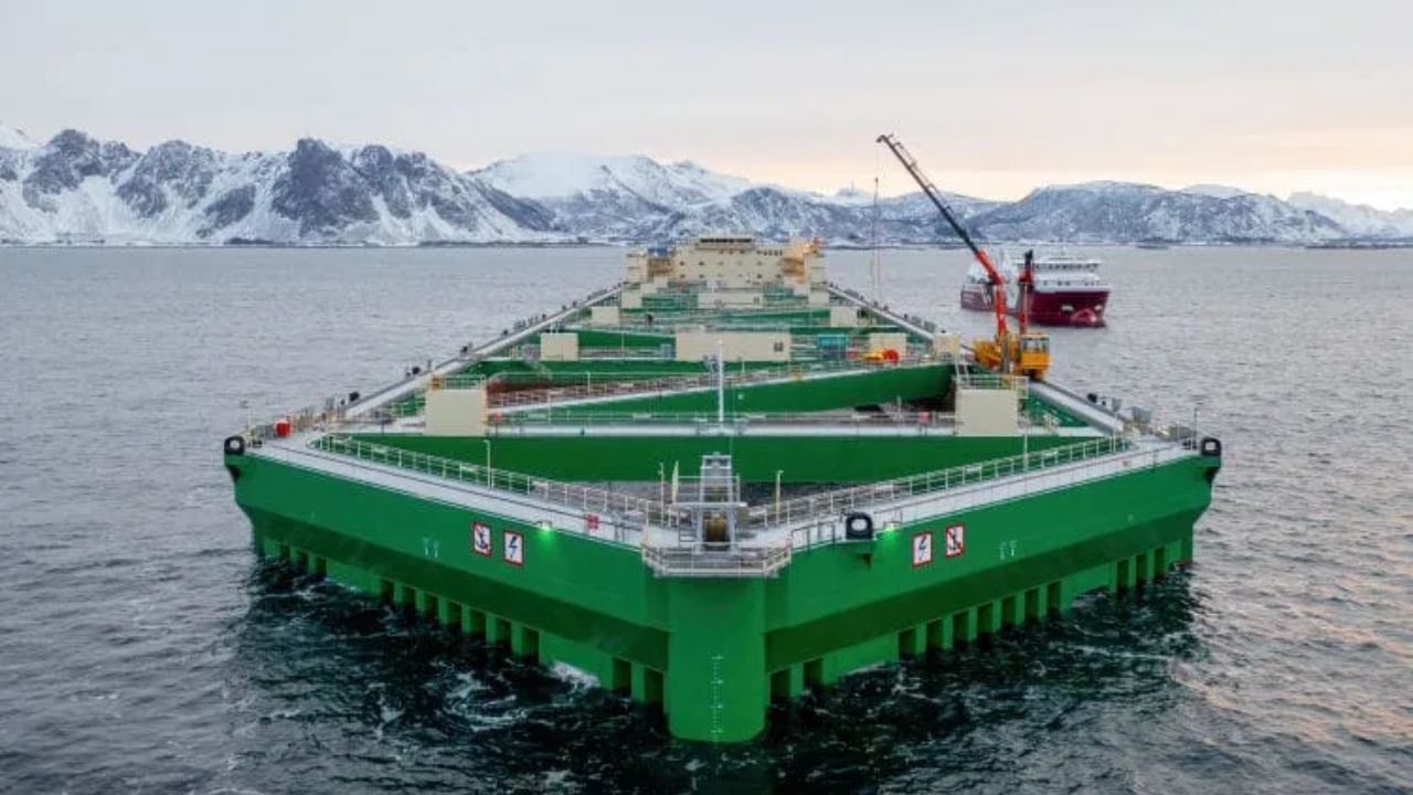 A fazenda oceânica, uma estrutura de 385 metros instalada em alto-mar produz até 10 mil toneladas de salmão por ciclo e marca uma virada na aquicultura global.