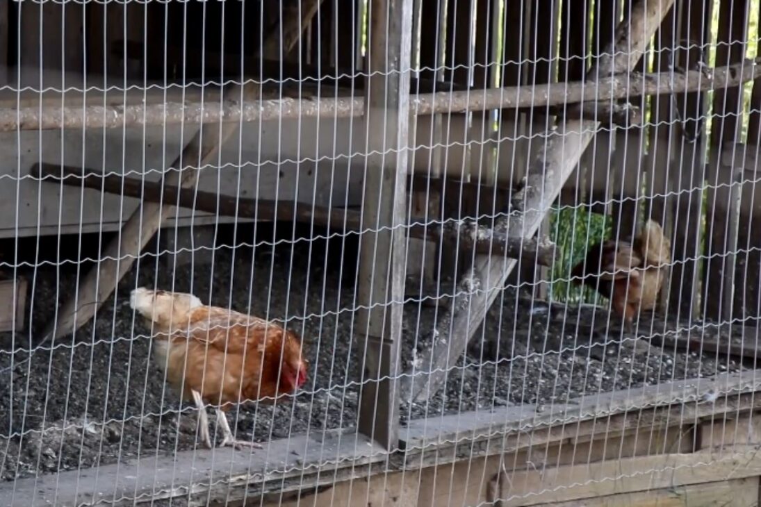 História de padre e pai que ergueram castelo de pedra em Santa Catarina; hoje o castelo em Treze de Maio é castelo turístico e castelo aberto ao público.
