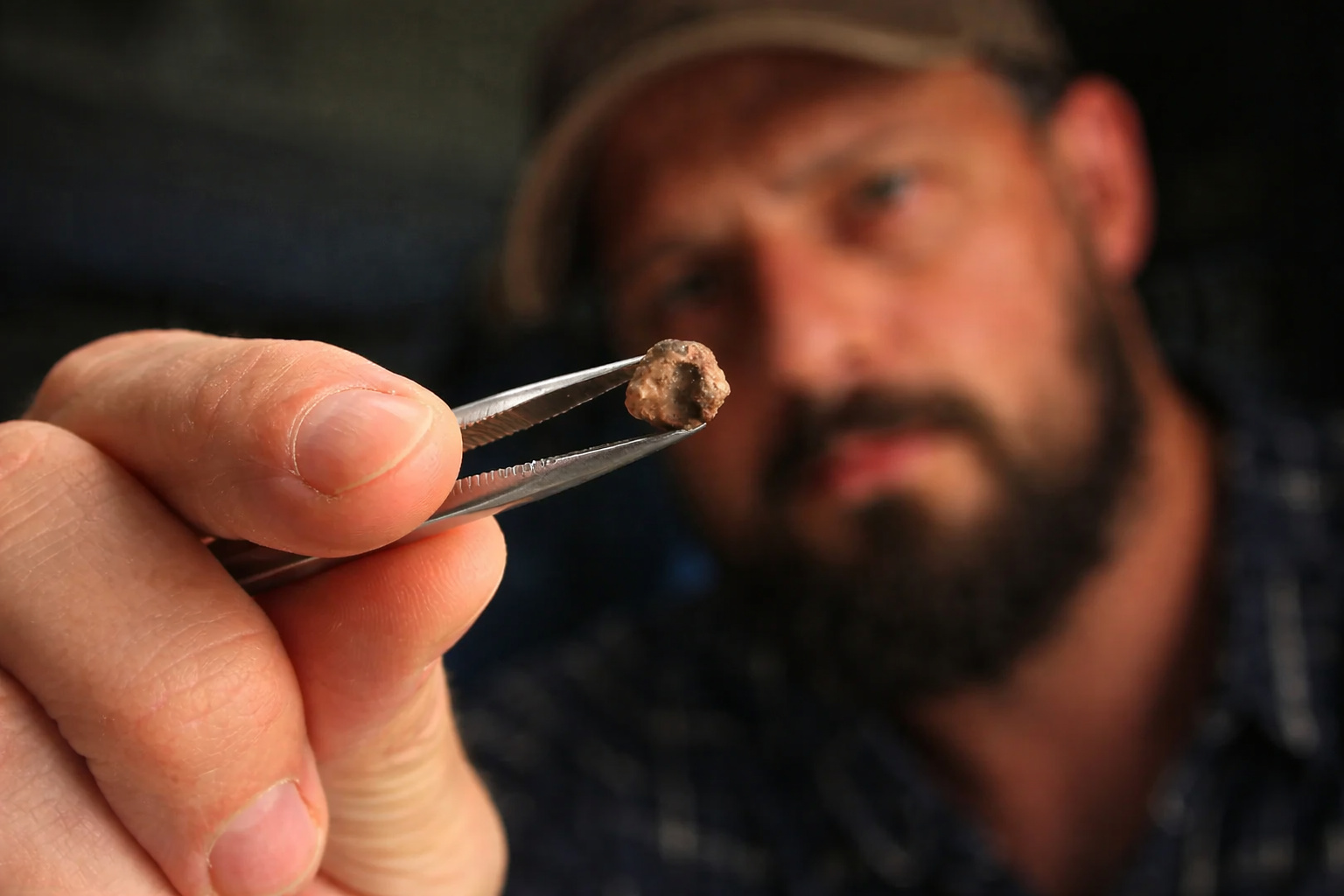 Pesquisador segura fóssil microscópico de réptil do Triássico encontrado no sul do Brasil com apenas 9,5 milímetros