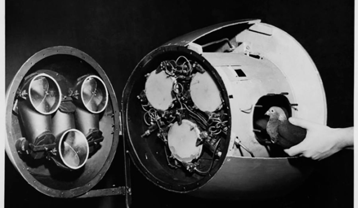 (Imagem: American Psychological Association)