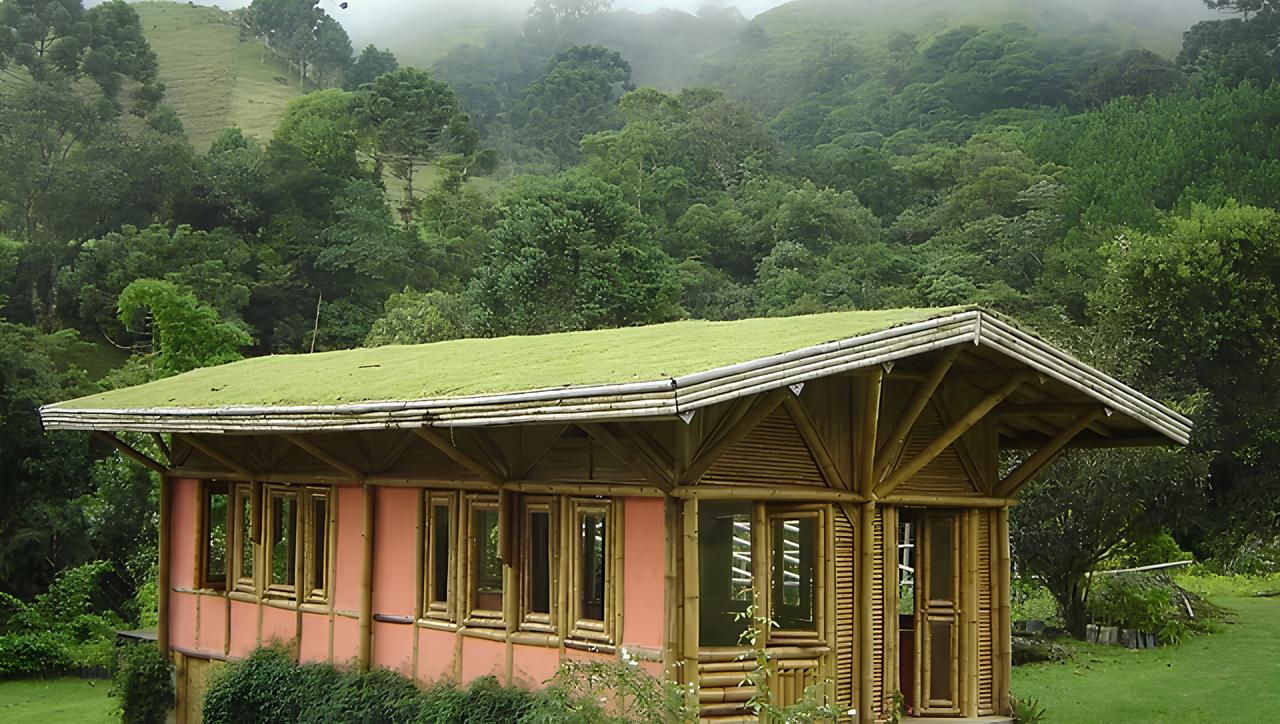 Empresa brasileira constrói casa 255 metros quadrados com varas bambu que crescem 20 metros em 3 anos custando 50% menos que cimento, tijolos e monta estrutura completa em 90 dias: técnica milenar japonesa adaptada usa bambu Guadua amarrado com corda dispensa pregos e parafusos