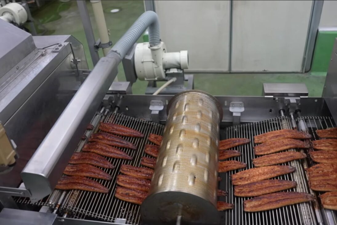 Entenda o processo que leva a enguia do gelo ao carvão, com molho aplicado em ciclos, inspeção e esterilização, e por que essa padronização transformou uma prática tradicional em linha industrial.