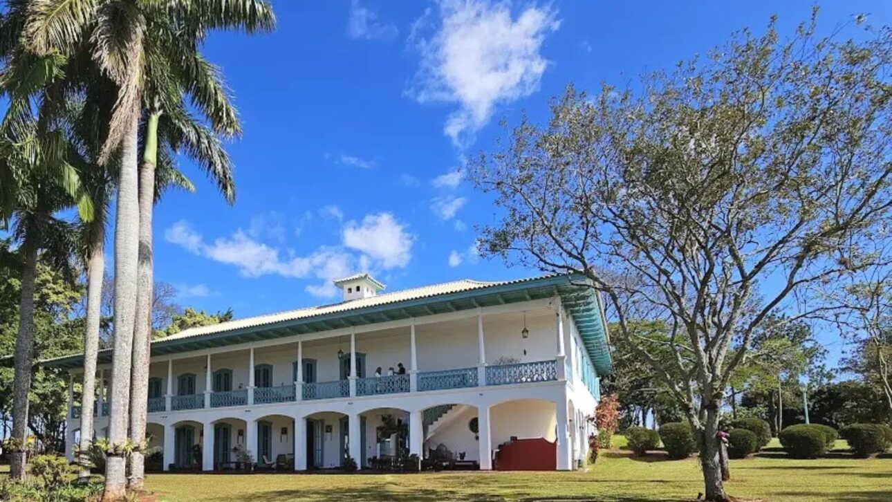 Ana Maria Braga revela detalhes da fazenda de 376 hectares em Bofete, com gado, café orgânico e mansão avaliada em R$ 25 milhões.