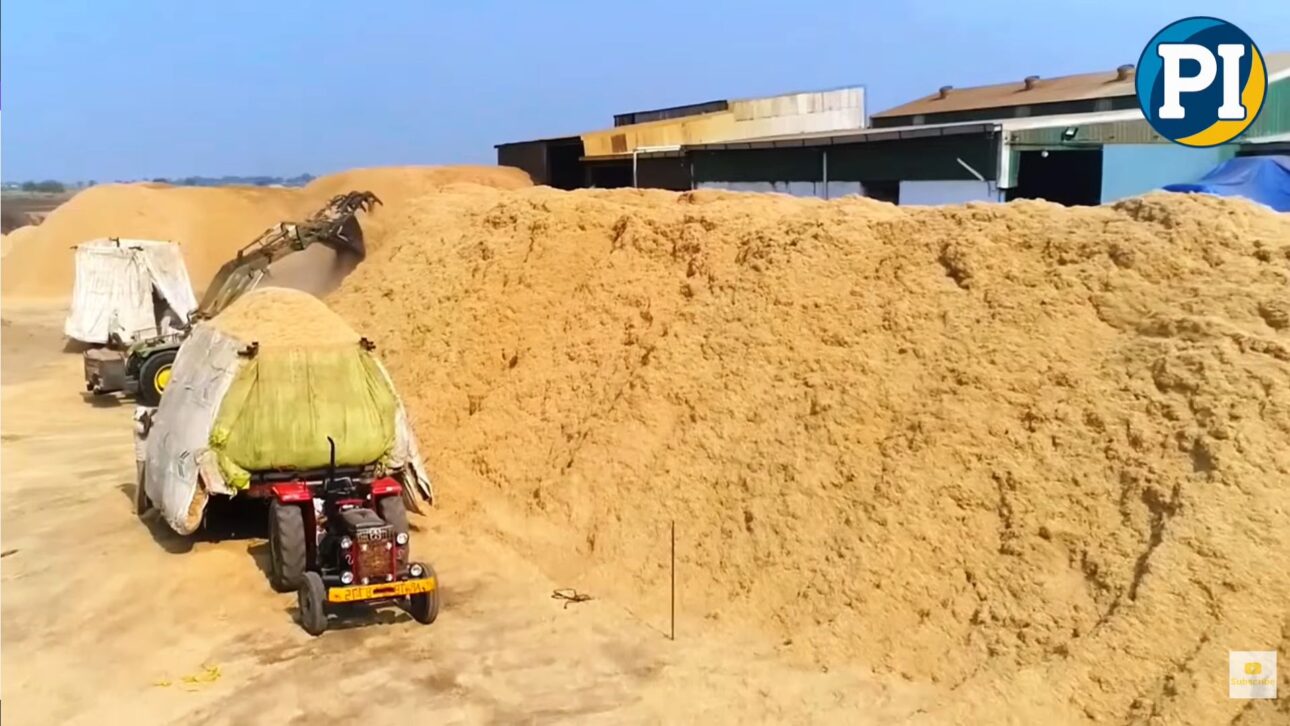 Engenharia agrícola transforma resíduos em adubo, água de reuso e biocarvão, reduzindo aterros e fortalecendo a economia circular no campo.