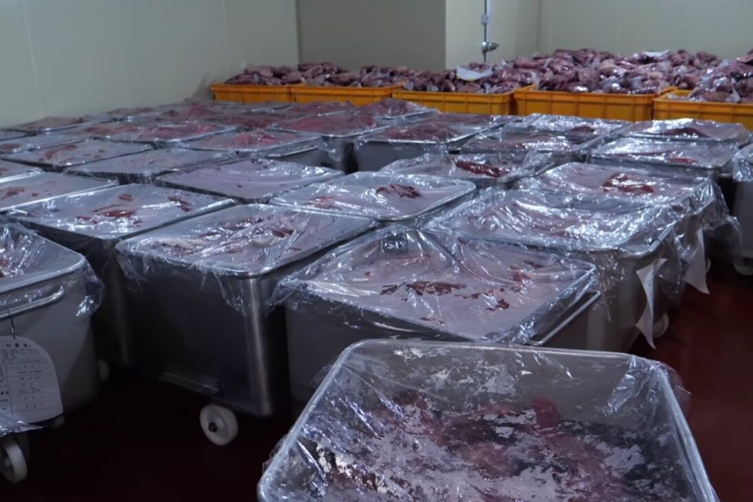 fábrica coreana em Incheon produz carne seca em escala e explica por que marinada, secagem e detector de metais entram no controle do processo antes da embalagem final.