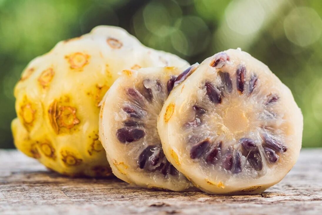 No jardim, plantas populares, plantas tóxicas, plantas venenosas no jardim, plantas proibidas e plantas ornamentais perigosas podem passar despercebidas.