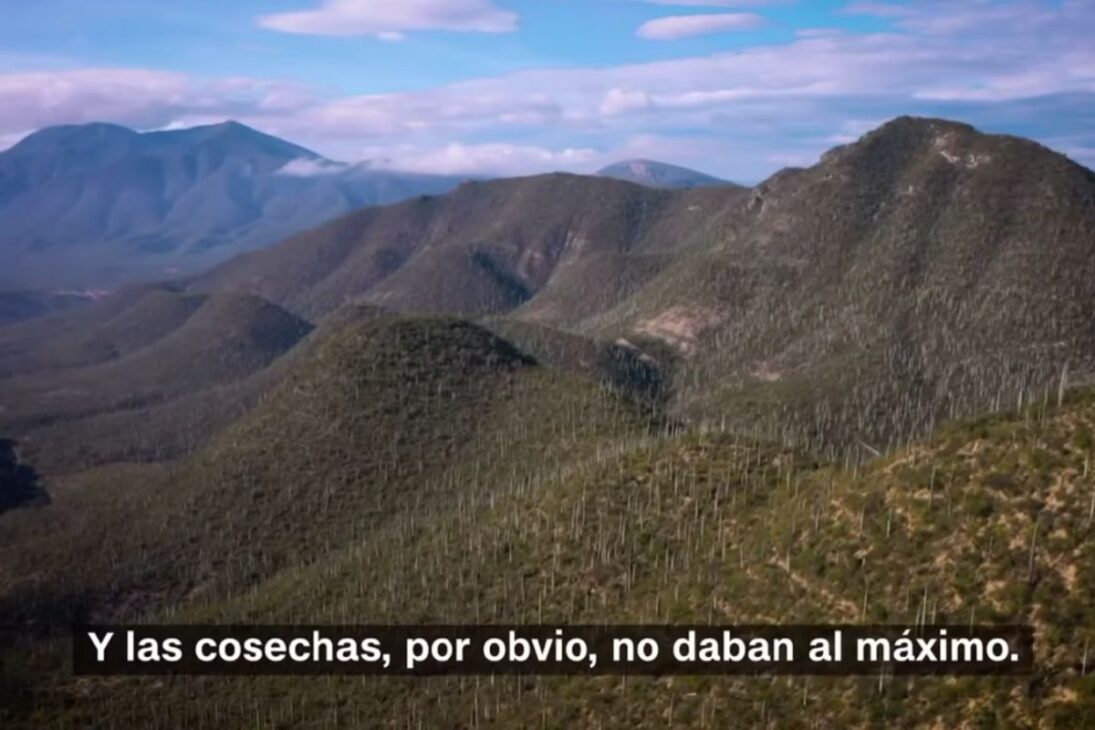 programa Agua para Siempre na Mixteca Popoloca explica como retenes e gabiões criam terraços esponja, recarregam aquíferos e chegam ao Museu da Água como método para colheita e biodiversidade no semiárido.