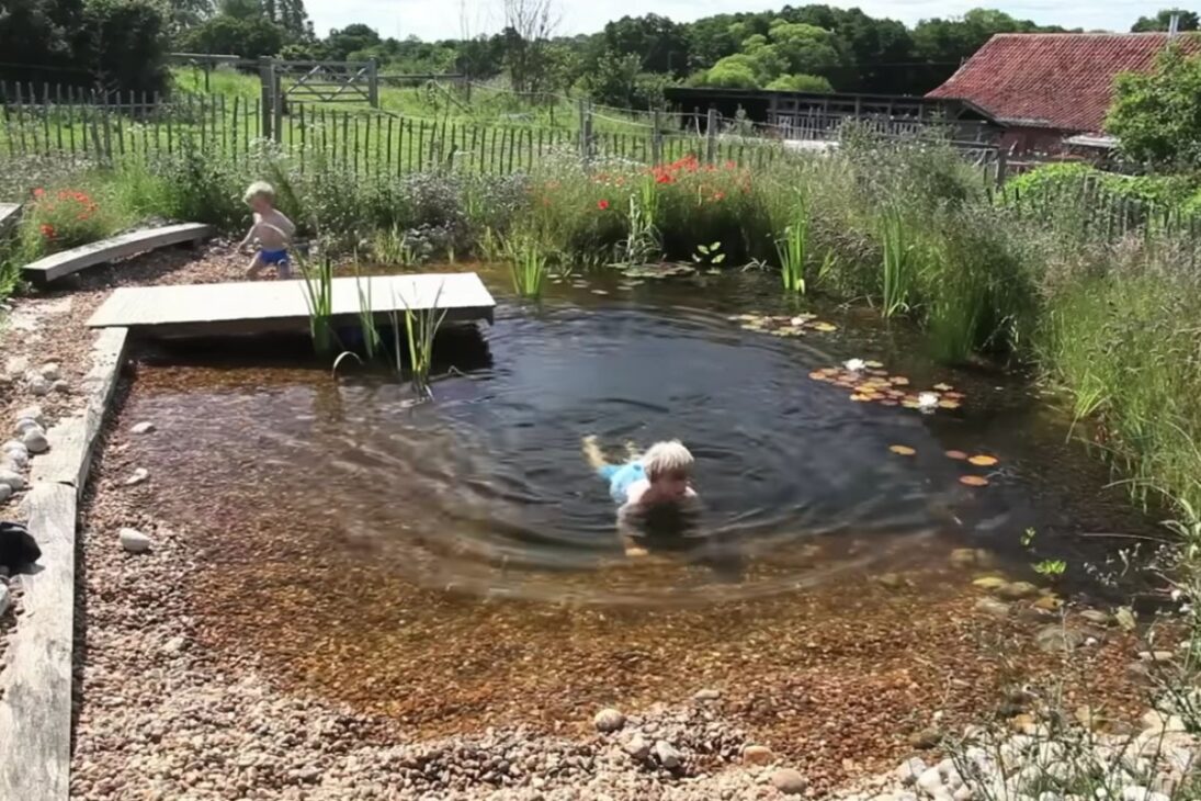 Uma pequena piscina natural cavada à mão mostra como água, plantas e vida selvagem podem manter o lago estável sem produtos químicos, criando um refúgio ecológico onde se nada com crianças em plena integração com a natureza.