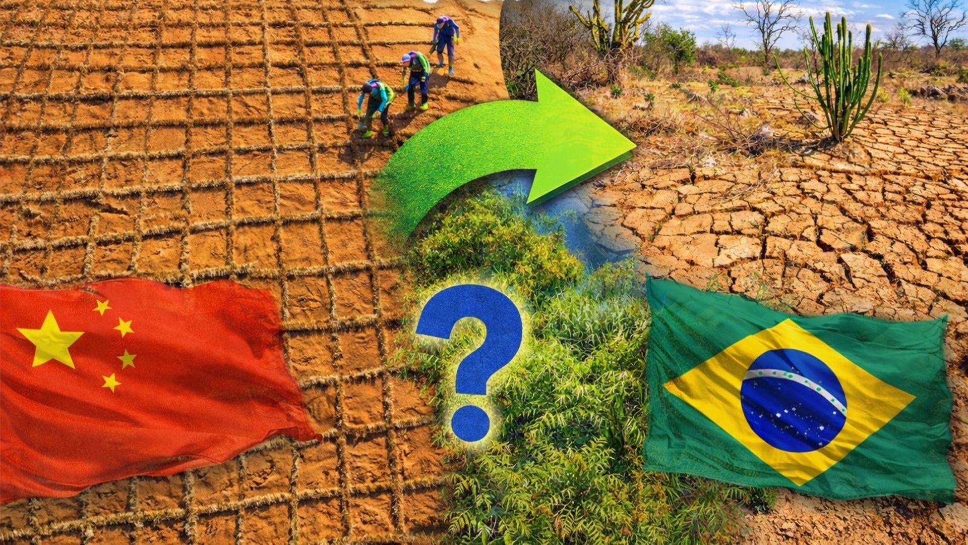 China cria método que transforma areia em solo fértil em até 16 meses e reduz erosão do vento em 90%.