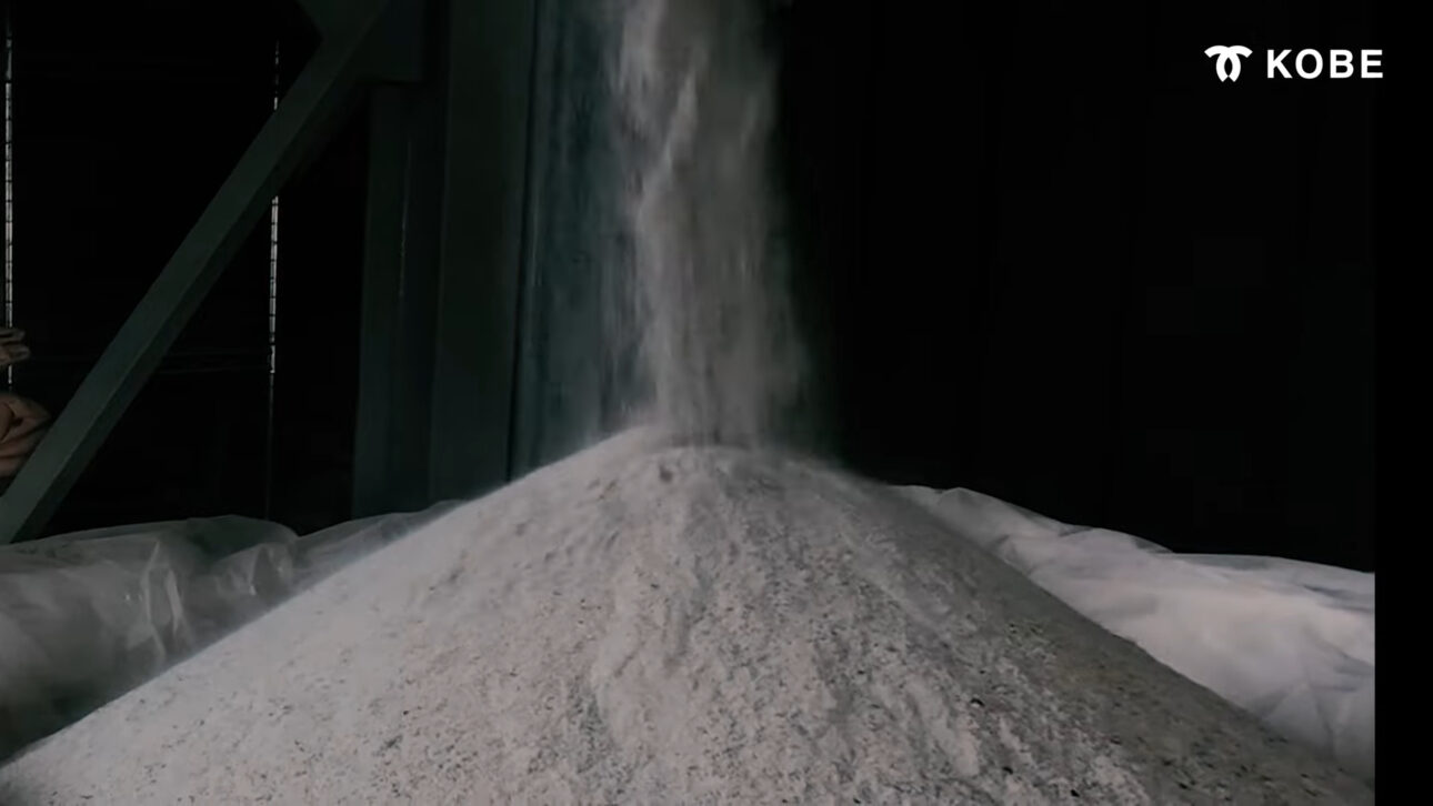 O que acontece com escamas e espinhas de peixe no Japão? Parte do que seria lixo está virando colágeno e fertilizante em um processo silencioso de reaproveitamento