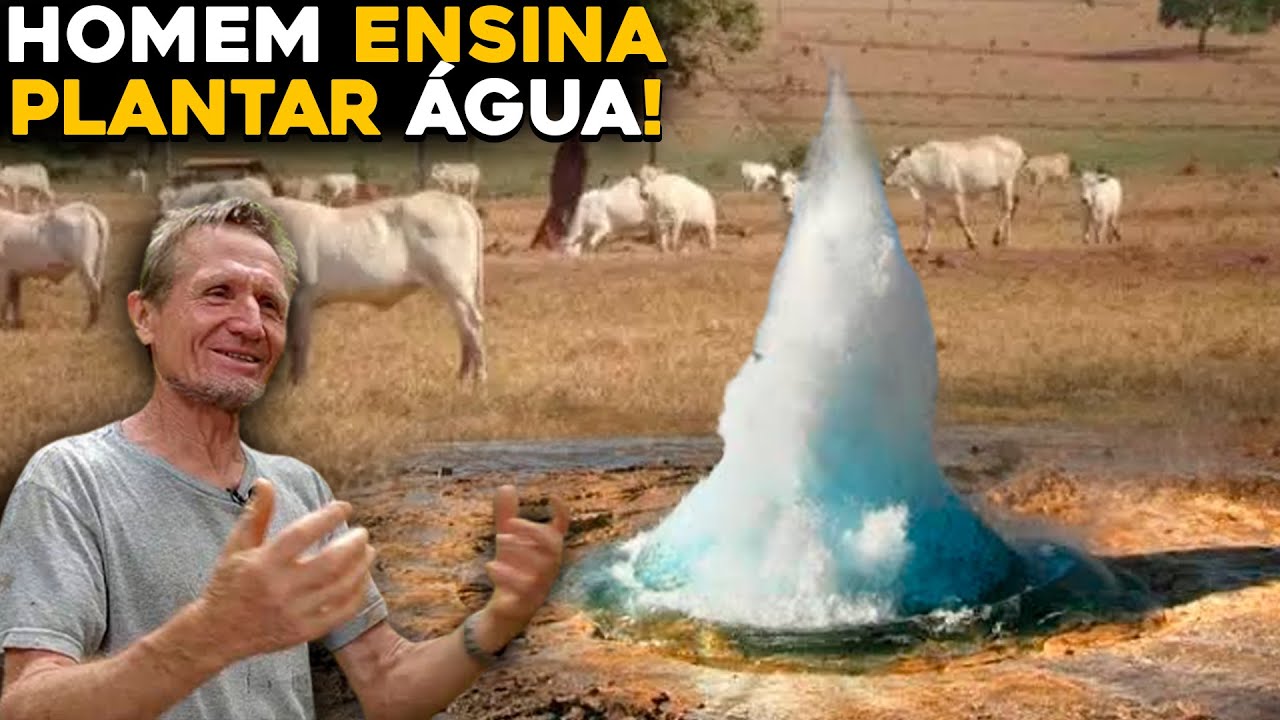 Onde havia solo morto e risco de desertificação, agricultores estão criando florestas no Semiárido brasileiro: em apenas 3 anos, um sistema agroflorestal reverte a degradação, “planta água” e desafia o avanço do deserto