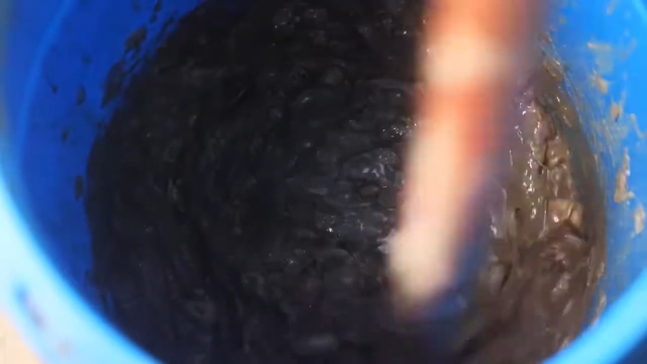 O que acontece com escamas e espinhas de peixe no Japão? Parte do que seria lixo está virando colágeno e fertilizante em um processo silencioso de reaproveitamento