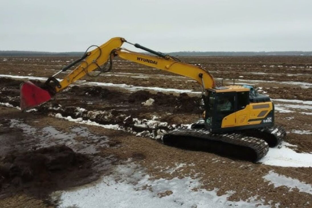 Escavadeiras na Suécia fecham valas em turfeiras, elevam o lençol freático e testam se a restauração hidrológica pode religar uma paisagem inteira.