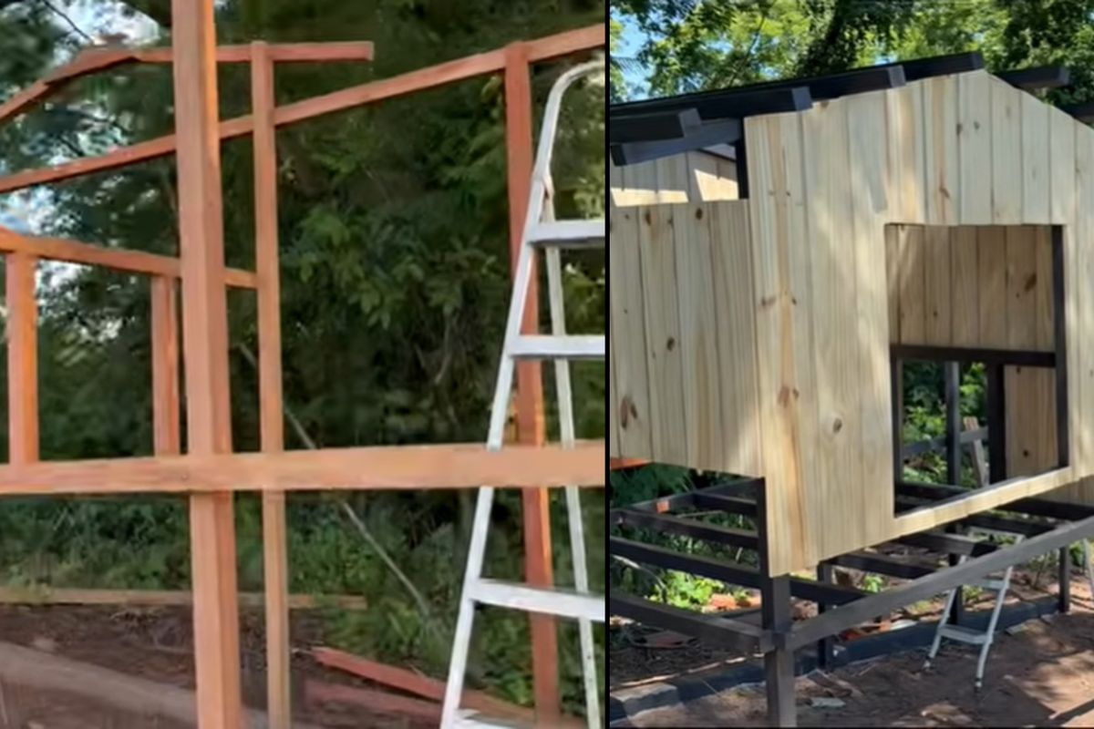 Sem gastar R$ 10 mil, casal corre contra o tempo, enfrenta chuva e gripe e constrói galinheiro do zero no sítio para salvar pintinhos prestes a nascer antes dos predadores