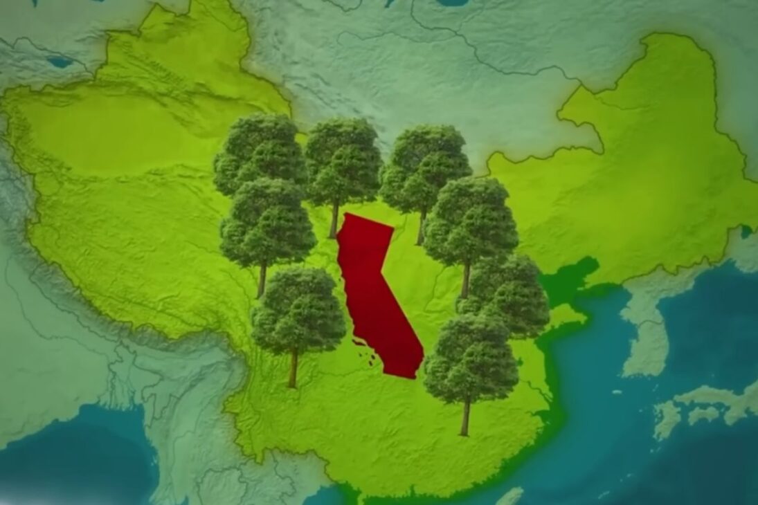 deserto de Gobi mostra como a China usou palha para travar dunas e frear a desertificação com uma técnica simples validada por satélites.