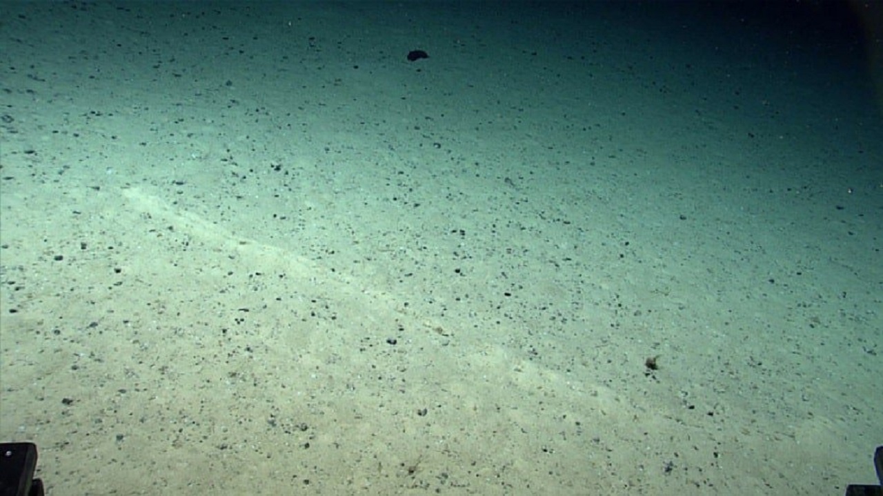 A 2.540 metros de profundidade na Dorsal Mesoatlântica, cientistas da NOAA encontraram fileiras de buracos perfeitamente alinhados no fundo do oceano, cada um cercado por pequenos montes de sedimento, o padrão é tão preciso que parece artificial, mas até hoje ninguém sabe o que os criou