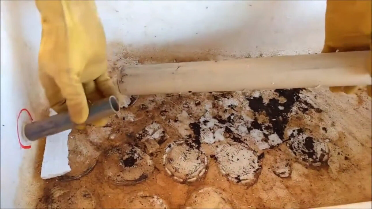 Agricultores cortaram caixas de isopor, forraram com lona plástica, enterraram cano de PVC perfurado no fundo e criaram canteiro autoirrigável de baixo custo que eleva a água por capilaridade diretamente às raízes e mantém a horta úmida por até uma semana sem rega