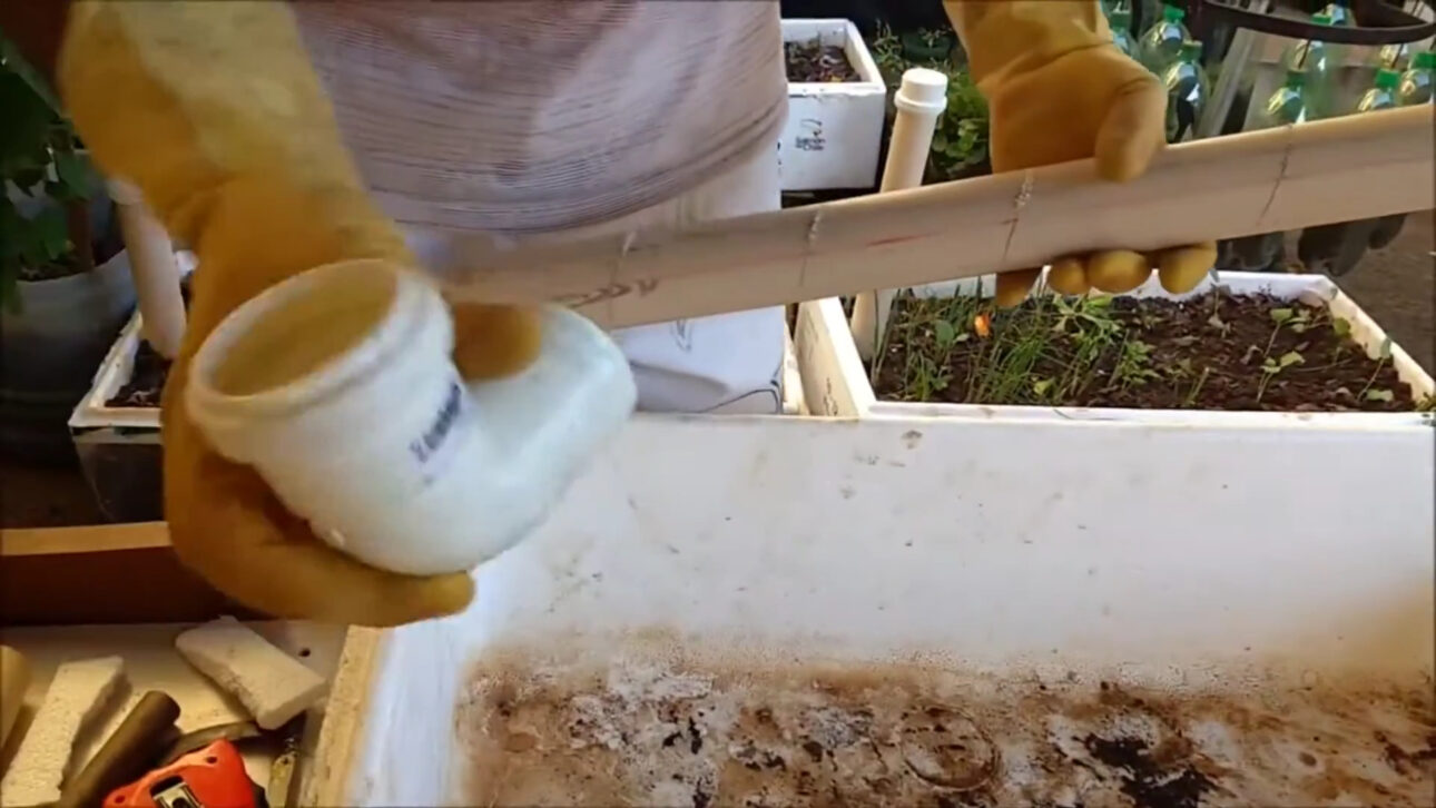Agricultores cortaram caixas de isopor, forraram com lona plástica, enterraram cano de PVC perfurado no fundo e criaram canteiro autoirrigável de baixo custo que eleva a água por capilaridade diretamente às raízes e mantém a horta úmida por até uma semana sem rega